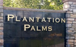 Plantation Palms